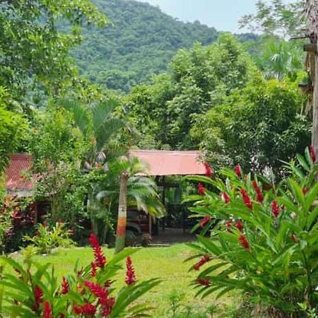 Eco Hostal Monolandia El Zaino Buitenkant foto