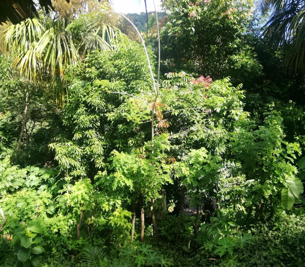 Eco Hostal Monolandia El Zaino Buitenkant foto