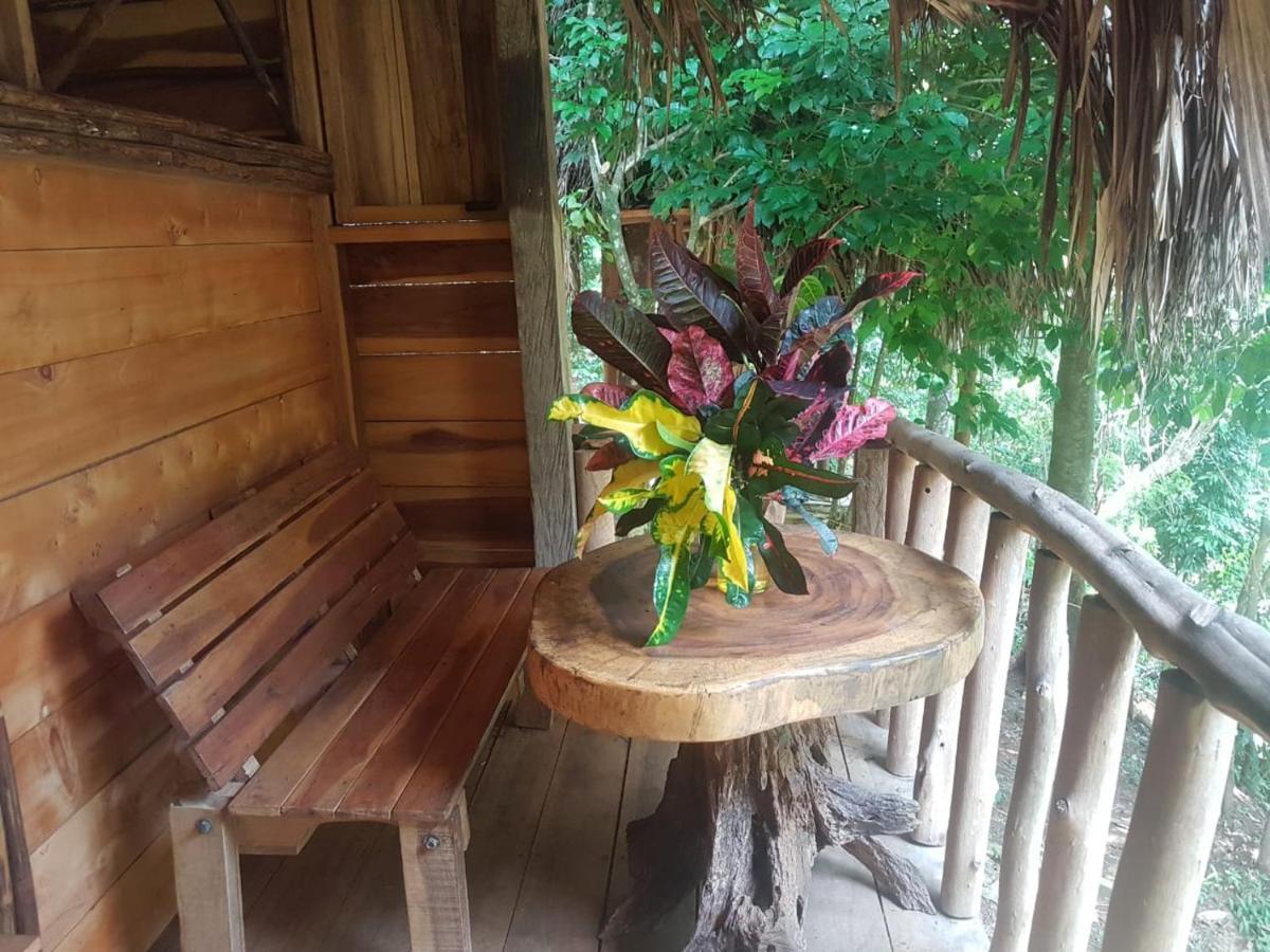 Eco Hostal Monolandia El Zaino Buitenkant foto