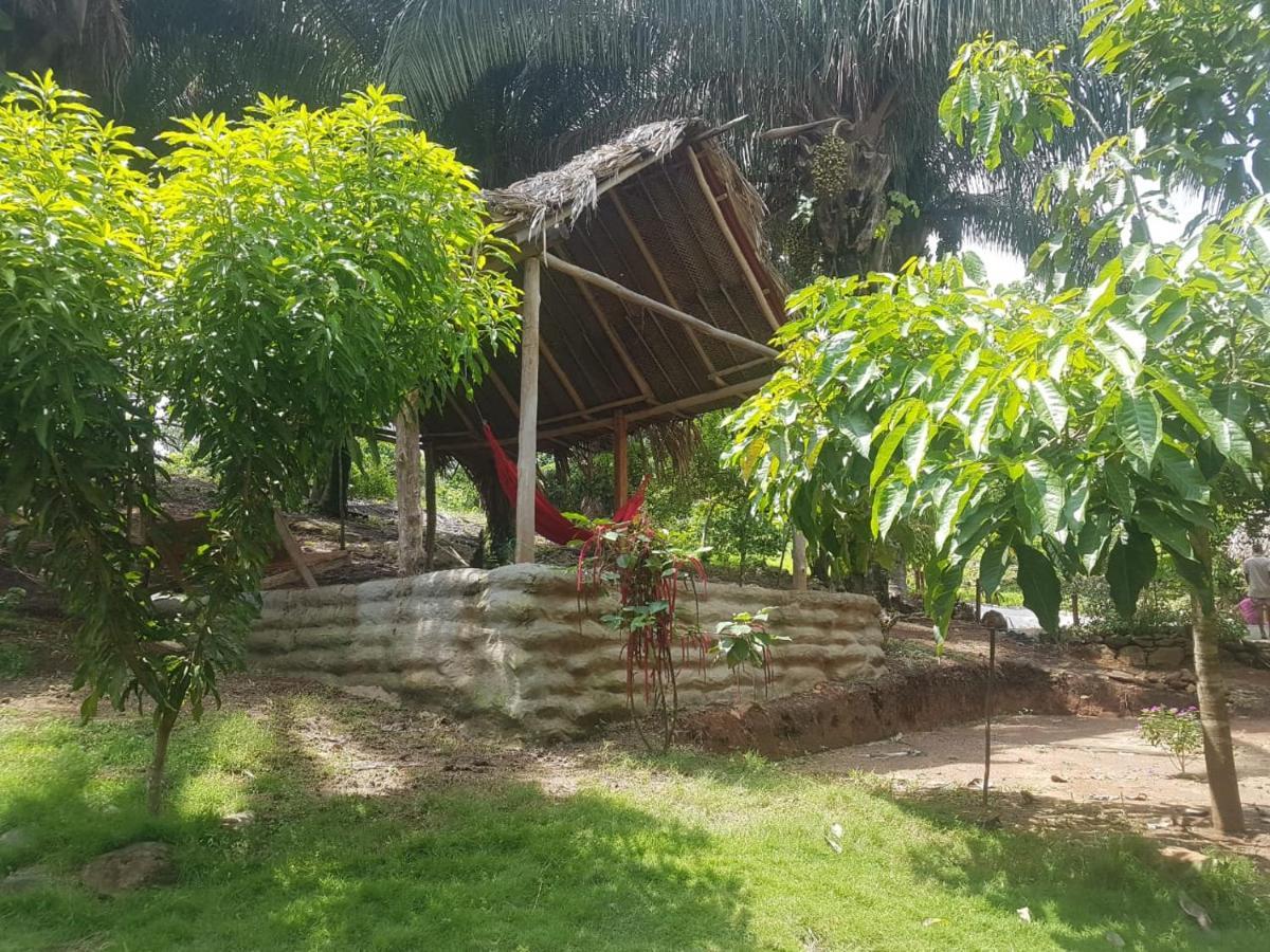 Eco Hostal Monolandia El Zaino Buitenkant foto