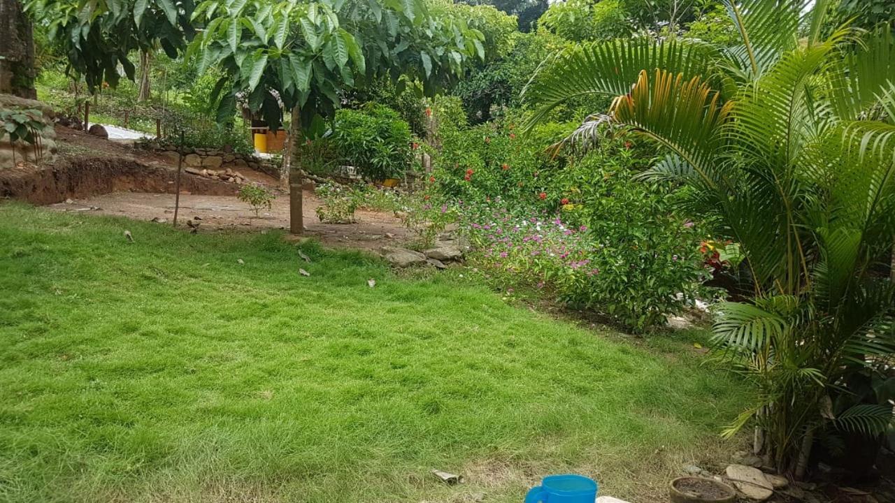 Eco Hostal Monolandia El Zaino Buitenkant foto
