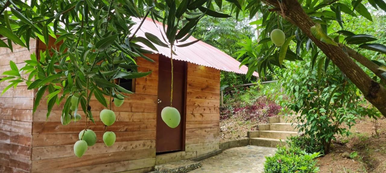 Eco Hostal Monolandia El Zaino Buitenkant foto