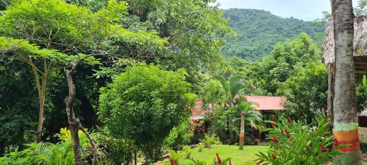 Eco Hostal Monolandia El Zaino Buitenkant foto