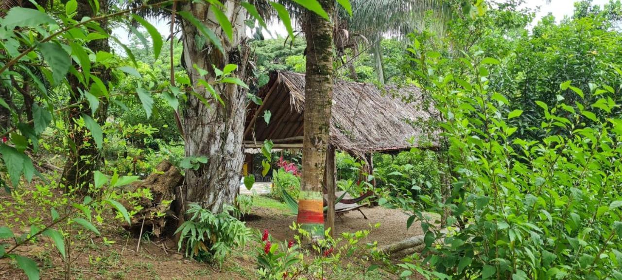 Eco Hostal Monolandia El Zaino Buitenkant foto