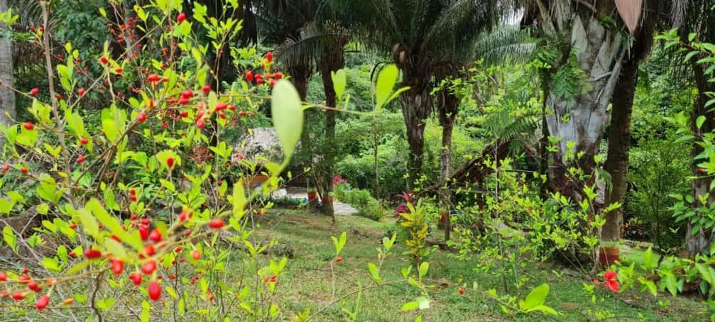 Eco Hostal Monolandia El Zaino Buitenkant foto
