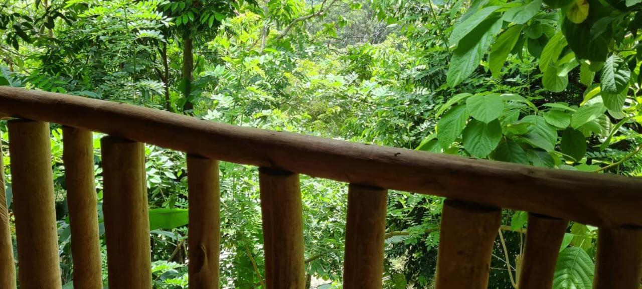 Eco Hostal Monolandia El Zaino Buitenkant foto