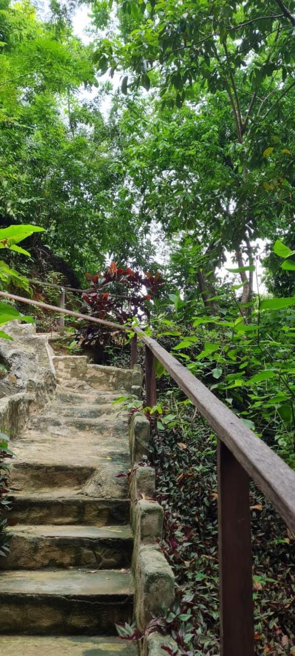 Eco Hostal Monolandia El Zaino Buitenkant foto
