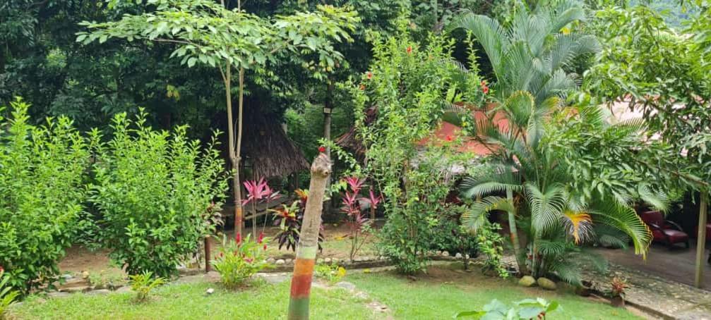 Eco Hostal Monolandia El Zaino Buitenkant foto